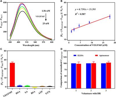 A Fluorescent Aptasensor Based on Assembled G-Quadruplex and Thioflavin T for the Detection of Biomarker VEGF165